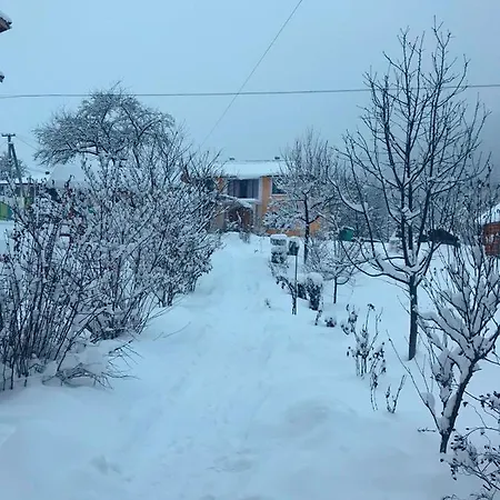 Фієста
